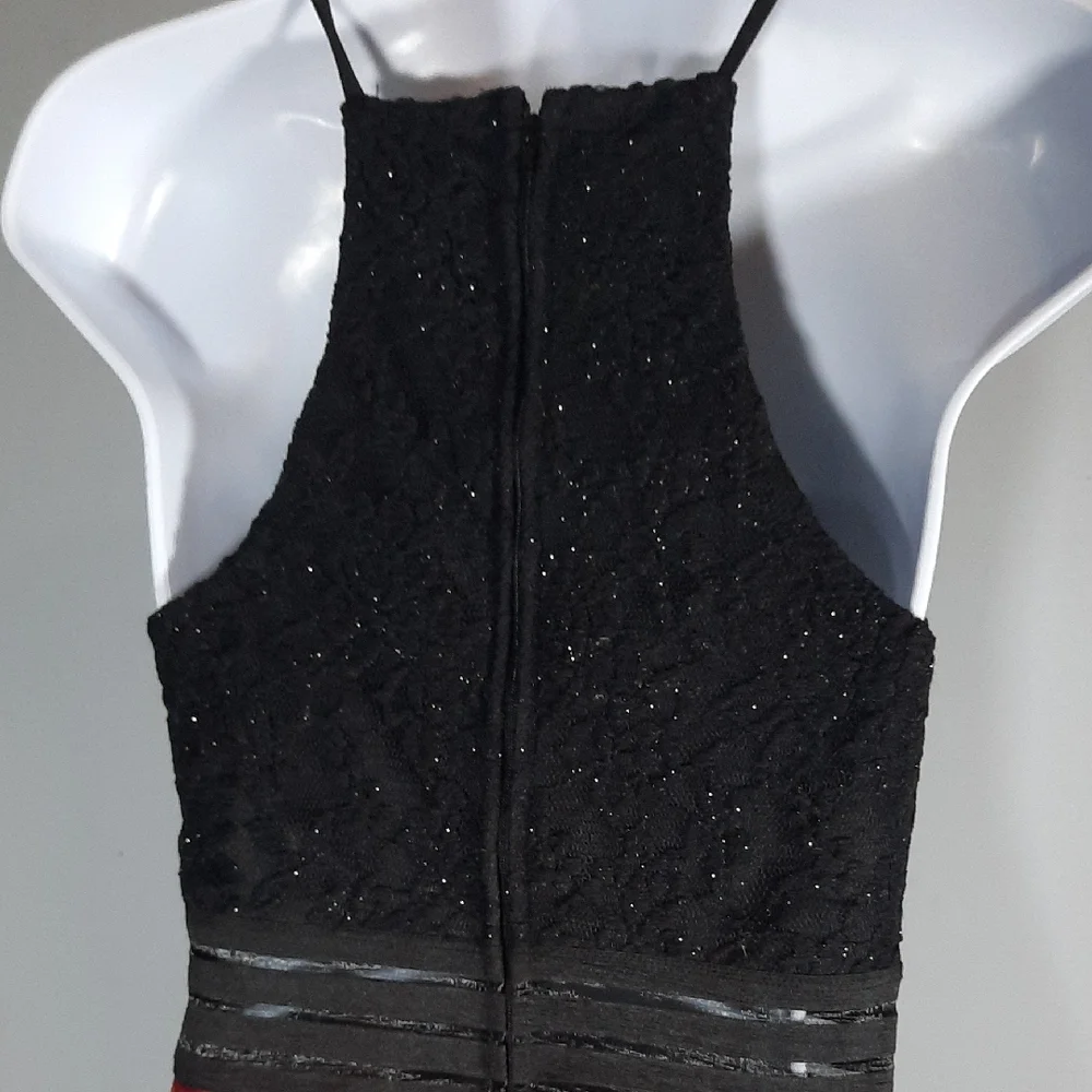 City Triangles Black and Red Floral Dress - Picture 4 of 4